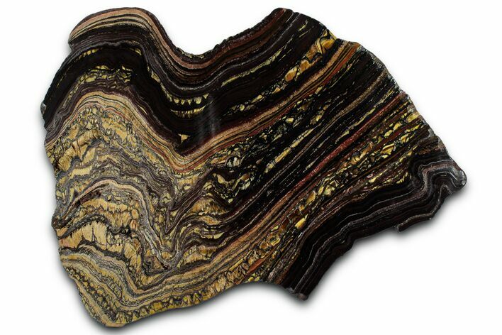 Polished Tiger Iron Stromatolite Slab - Billion Years #351796